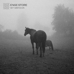 Enge Store - Det Hostes Na - CD