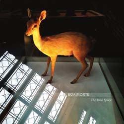Boa Morte - The Total Space - Vinyl