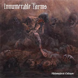 Innumerable Forms - Philosophical Collapse - Vinyl