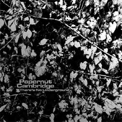 Papernut Cambridge - There's No Underground - Vinyl