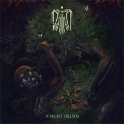 Domhain - In Perfect Stillness (Golden Vinyl)