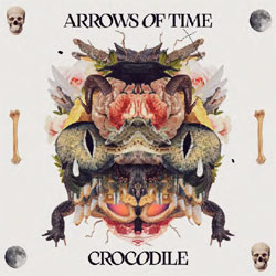 Arrows Of Time - Crocodile - Vinyl